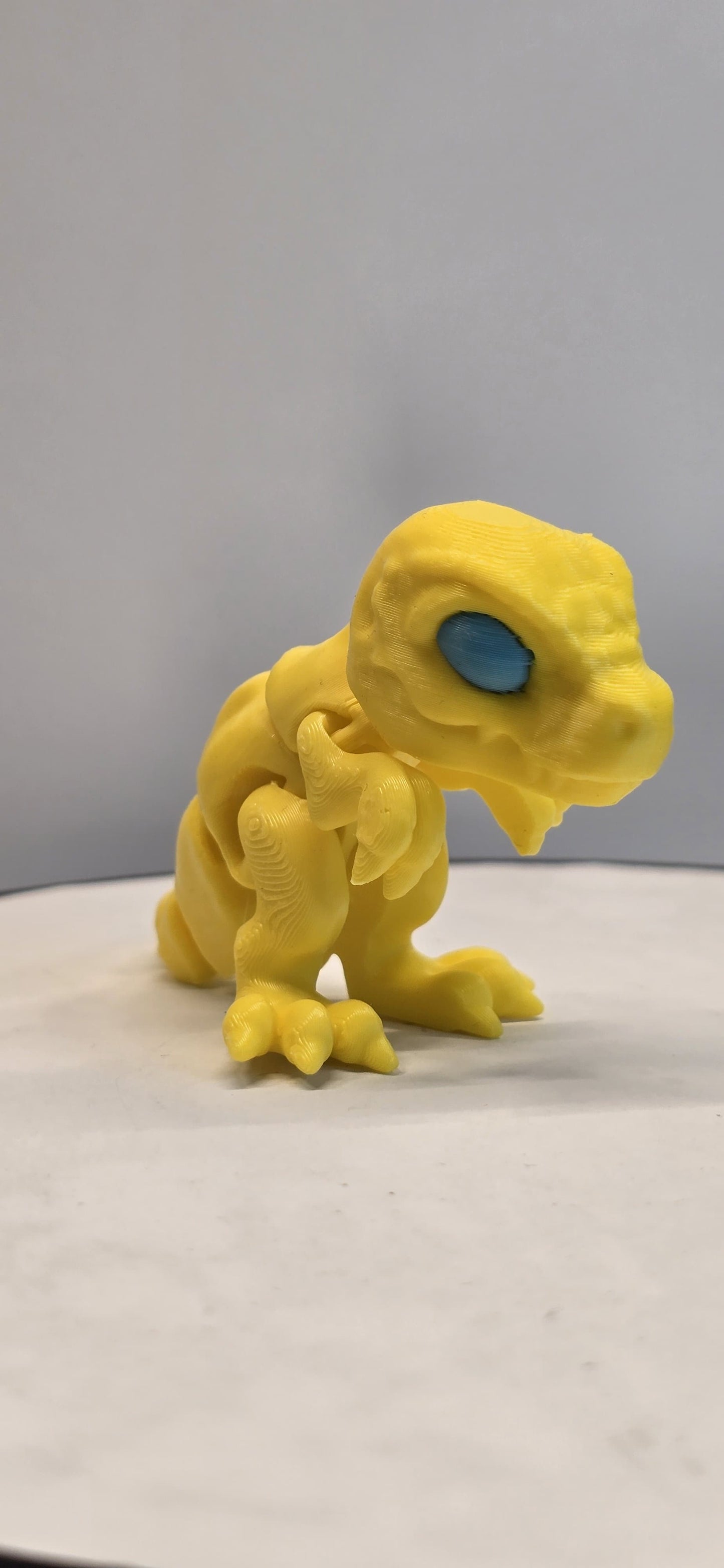 Flexi T-Rex Buddy – Poseable Dinosaur