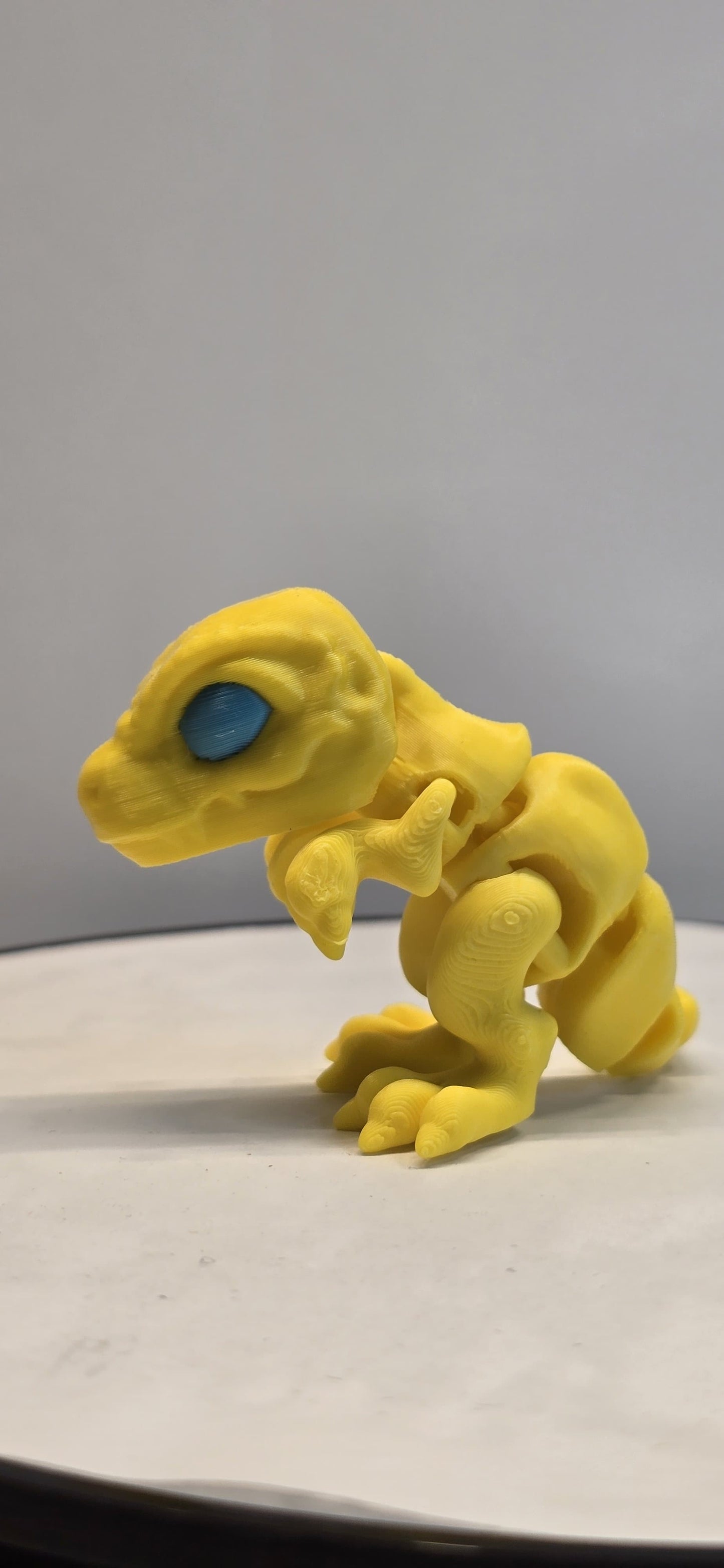 Flexi T-Rex Buddy – Poseable Dinosaur